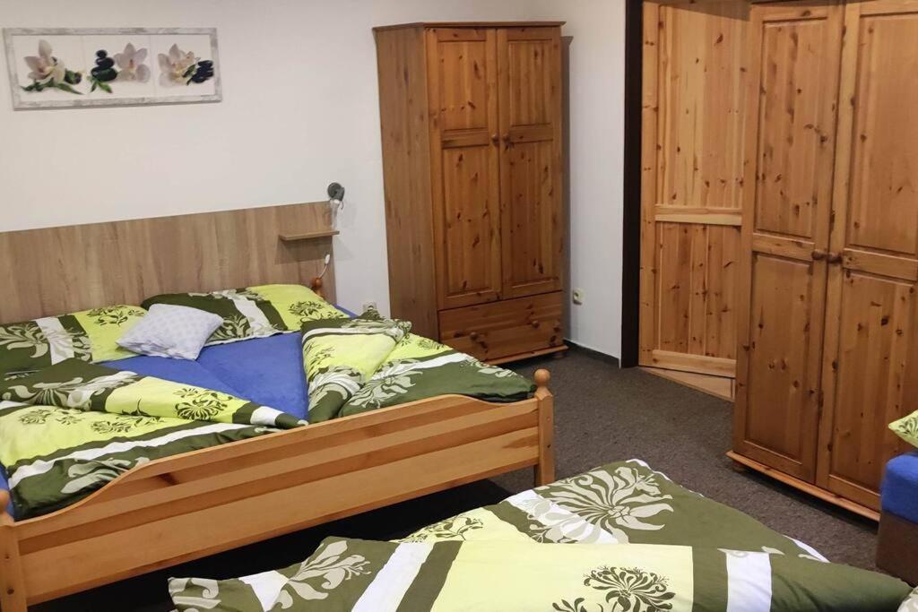 Vila Samoska - Krkonose Rudník Exteriér fotografie
